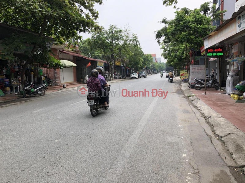 Own a House with Prime Location In Thuy Lam Commune, Dong Anh District, Hanoi City, Vietnam Sales đ 8.2 Billion