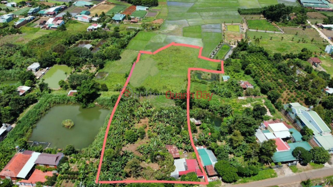 Property Search Vietnam | OneDay | Residential | Sales Listings | GOOD PRICE - ORIGINAL OWNER For Quick Sale 1 Hectare Of Land With 40m Frontage Of Pleiku City