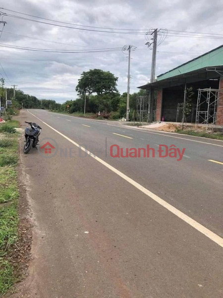 Property Search Vietnam | OneDay | Residential, Sales Listings, OWNER URGENTLY SELLING LAND PLOT ON NATIONAL HIGHWAY 765, Long Tan, Long Dat District, Ba Ria Vung Tau