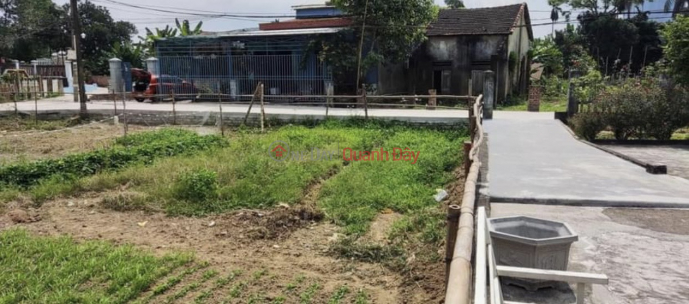 ANGLE Plot - Urgent sale of land in HOA VANG CENTER- 202M2 Sales Listings