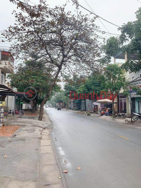 Property Search Vietnam | OneDay | Residential Sales Listings CHINH KINH ROAD SURFACE TYPES OF DONG MY ITEMS _ THANH TRI _ HANOI.