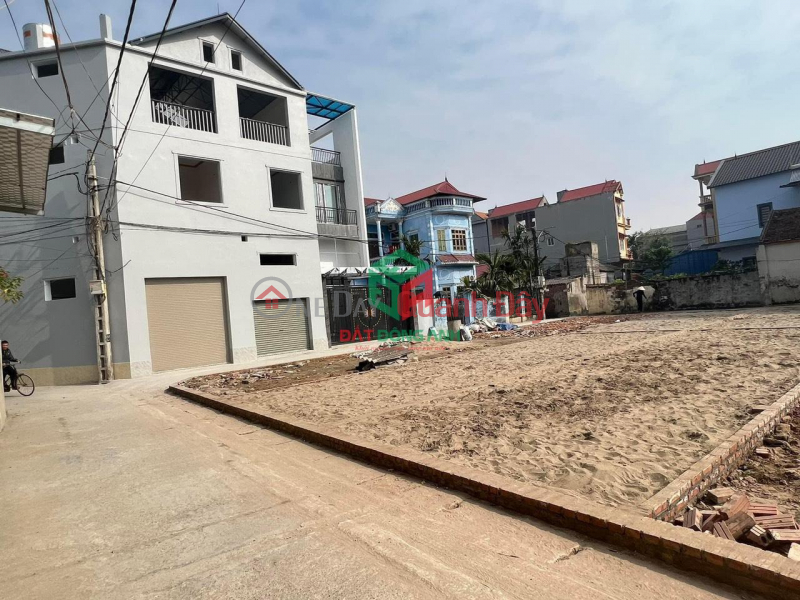 Property Search Vietnam | OneDay | Residential | Sales Listings | Land for sale in Manh Tan Thuy Lam - 40m2 with car access - Approximately 900 million