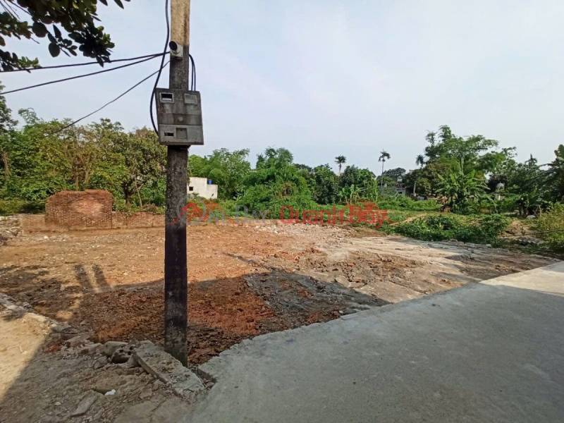 Property Search Vietnam | OneDay | Residential Sales Listings, OWNER NEEDS TO SELL 275M2 LAND LOT IN DONG PHUONG YEN-CHUONG MY-HANOI