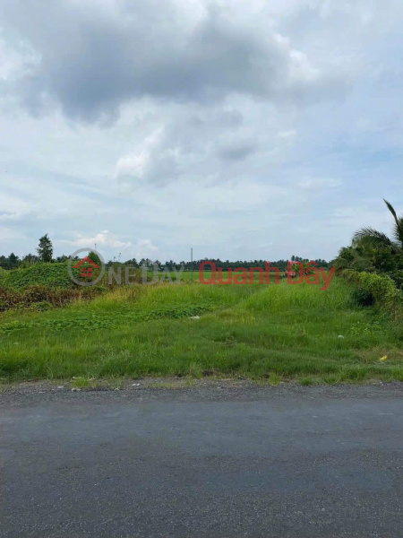 Property Search Vietnam | OneDay | Residential | Sales Listings | OWNER FOR SALE 7,656m2 Front Land TL902, Chanh An, Mang Thit, Vinh Long