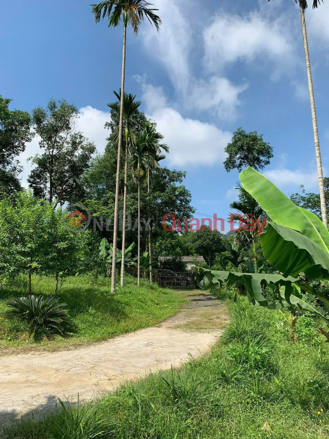 SUPER PRODUCT OF 2-FRONT GARDEN LAND IN LIEN SON, LUONG SON, HOA BINH _0
