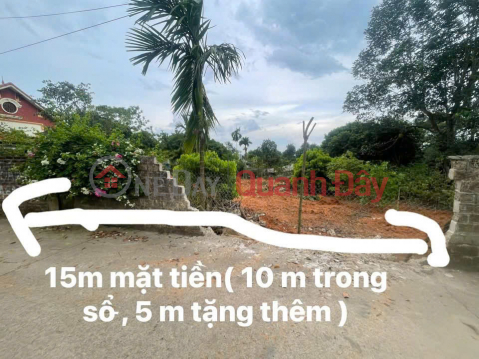 Xu hướng sống xanh 2026 - Bỏ phố về quê xây villa đồng quê - Hưởng trọn cuộc sống an nhiên _0