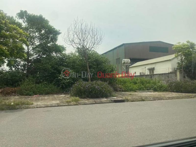 Property Search Vietnam | OneDay | Residential, Sales Listings | Selling more than 1000m2 of land in Quat Dong Industrial Park, Thuong Tin, price 9 million\\/m2