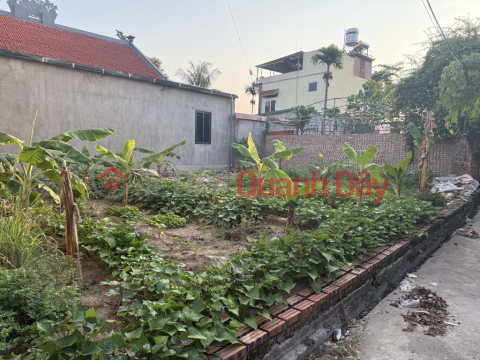 ĐẤT NỀN NINH XÁ - GẦN KCN THUẬN THÀNH - GIÁ ĐẦU TƯ CỰC TỐT - SINH LỜI CAO! _0