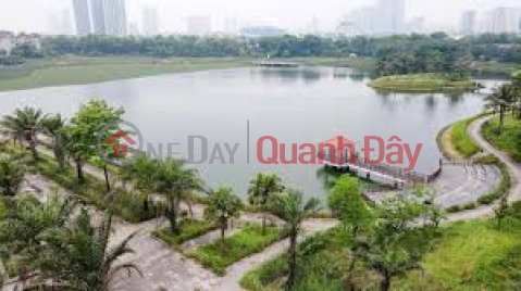 Bán biệt thự mặt đường Hoàng Quán Chi 212m2, MT: 17m lô góc mặt công viên Cầu Giấy _0