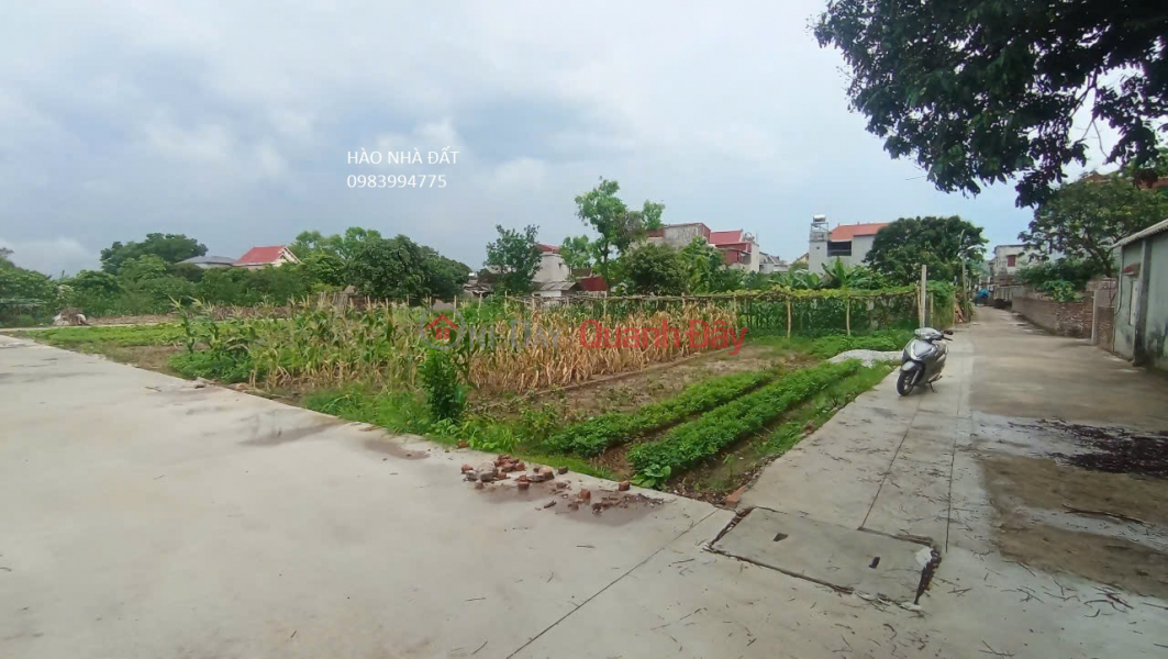 Property Search Vietnam | OneDay | Residential, Sales Listings | LAND FOR SALE IN PHU HOA, LUONG TAI. 95M2 * FRONTAGE 5.6M * 1.58 BILLION. CAR ACCESSIBLE. FULL RESIDENTIAL LAND