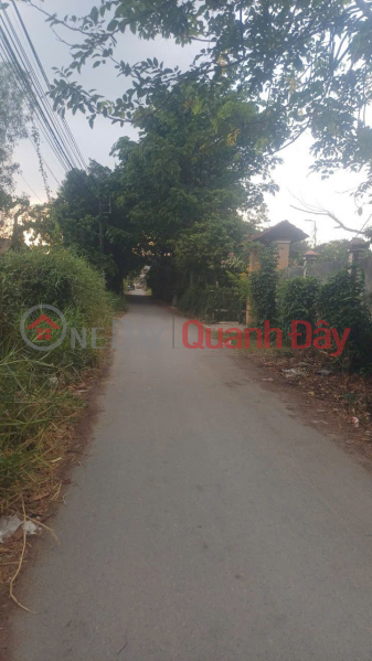Property Search Vietnam | OneDay | Residential | Sales Listings | HOT HOT – OWNER NEEDS TO SELL A PLOT OF LAND - FRONTAGE ON ROAD 432, BINH MY COMMUNE, CU CHI DISTRICT, HO CHI MINH CITY