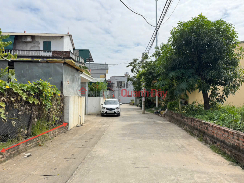 Property Search Vietnam | OneDay | Nhà ở, Niêm yết bán, Bán 60m đất thôn Ấp Tre (Tổ 9),Quang Minh, TP HN. Đất vuông đẹp, đường thông, oto tránh
