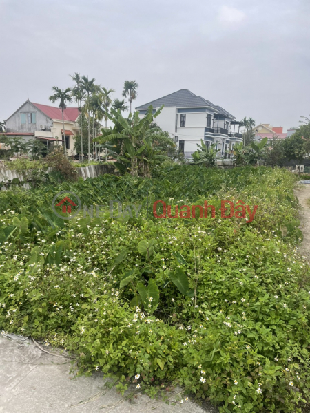 Urgent sale of land plot of 54m², lane 3m at 312 Cat Linh, Trang Cat, Hai An., Vietnam Sales đ 864 Million
