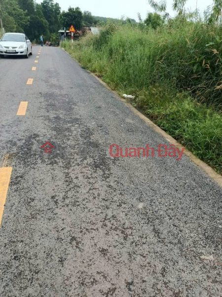LAND FOR SALE BY OWNER - FRONTAGE An Long Commune, Phu Giao, Binh Duong Vietnam | Sales đ 19.7 Billion