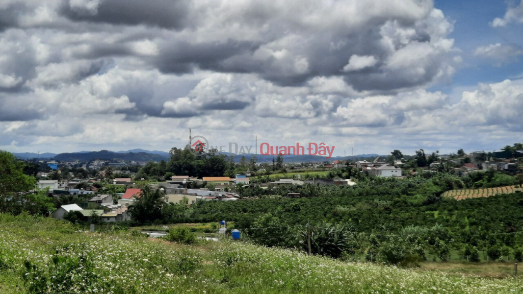 đ 3.1 Billion | BEAUTIFUL LAND - EXTREMELY GOOD PRICE - OWNER NEEDS TO SELL LOT OF 2 FRONT OF LAND IN Ninh Gia, Duc Trong, Lam Dong