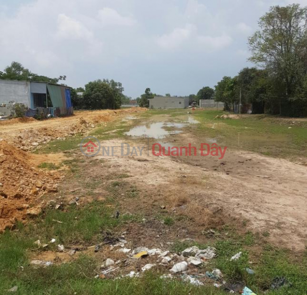 Urgent sale of very beautiful plot of land frontage of DT 821 street, Loc Giang commune, Duc Hoa district, Long An province Sales Listings