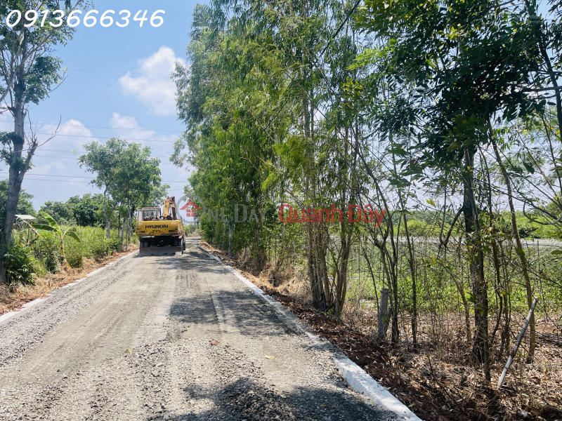 LAND FOR SALE IN LONG TAN COMMUNE (now Dat Do Commune, Ho Chi Minh City) with a 43m road frontage. Price for the entire plot. Sales Listings