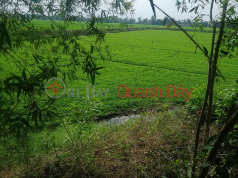 BEAUTIFUL LAND - GOOD PRICE - Land Lot For Sale Prime Location In Moc Hoa, Long An _0