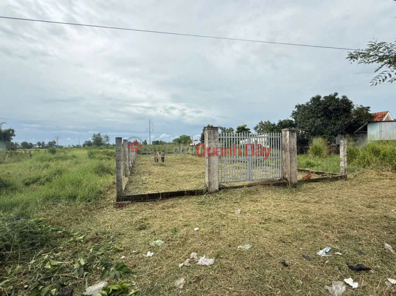 Property Search Vietnam | OneDay | Residential | Sales Listings Owner Sells 500m2 Residential Land Fronting Main Road - Next to Vinhomes Project in Can Giuoc Town