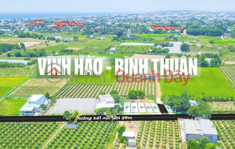 Invest in land in Phuoc The Binh Thuan - extremely high profits within reach _0