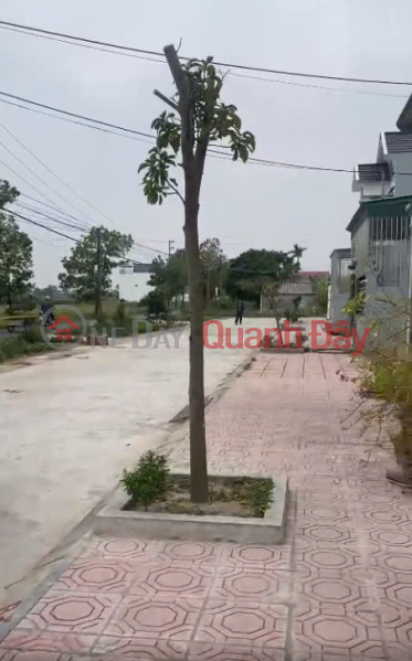 FOR SALE RESIDENTIAL LAND IN AN CHAU COMMUNE, DONG HUNG DISTRICT, AREA 170M2, PRICE ONLY 1.1 BILLION Sales Listings