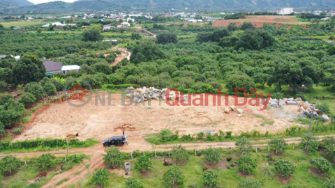 Land plots for sale in Cam Lam, fully residential, at super cheap prices per square meter. Opposite Suoi Dau Industrial Park. 14 plots available. _0