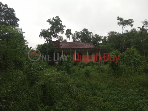 BEAUTIFUL LAND - GOOD PRICE - Villa Land for Sale in Hai Son Commune, Hai Lang District, Quang Tri _0