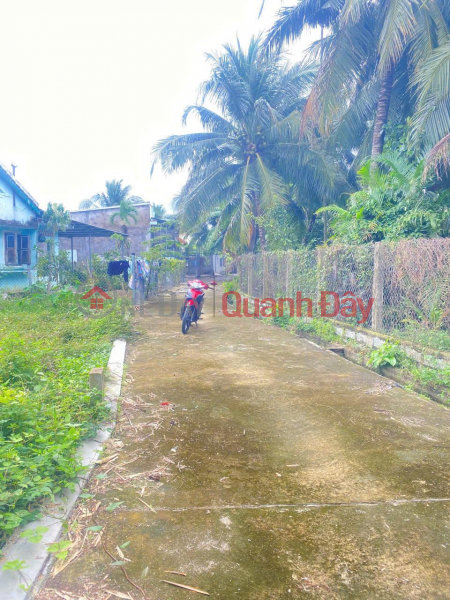 Property Search Vietnam | OneDay | Residential | Sales Listings OWNER'S LAND - SHOCKING PRICE - Need to sell a plot of land in Suoi Tien commune, Dien Khanh district, Khanh Hoa province