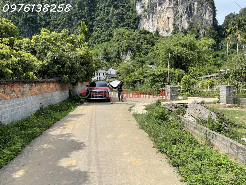 đ 7.29 Billion, Land for sale, 2700m2, in Lien Son commune, price negotiable, 70m frontage.