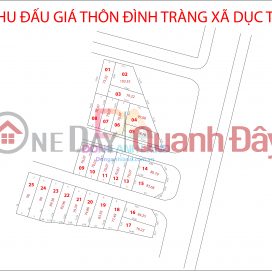 Land for sale at Dinh Trang Duc Tu Dong Anh Auction House on business street _0
