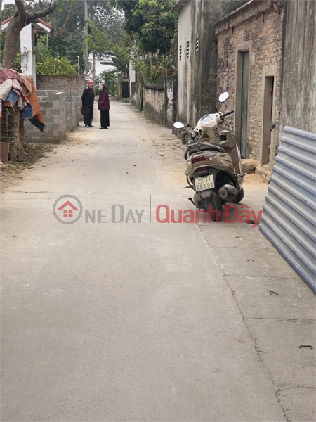 Property Search Vietnam | OneDay | Residential Sales Listings 51.3m of Phung Chau land with motorable road only 890 million - main owner