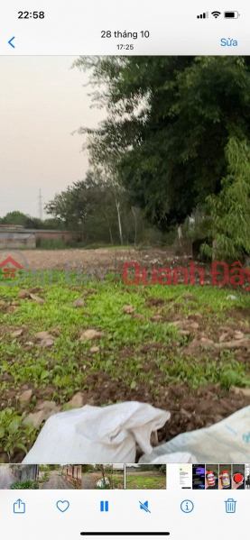 BEAUTIFUL LAND - GOOD PRICE - Owner Advertises Need Money For Investment Urgent Sale Land Plot In Ta Thanh Oai Vietnam Sales | đ 3.5 Billion