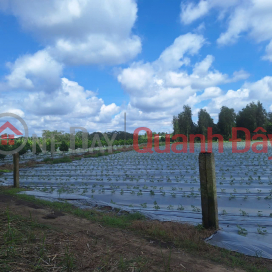 ĐẤT ĐẸP - GIÁ TỐT - CHÍNH CHỦ Cần Bán đất Ấp Mỹ Lộc, Xã Mỹ khánh, Huyện Phong Điền, Cần Thơ. _0