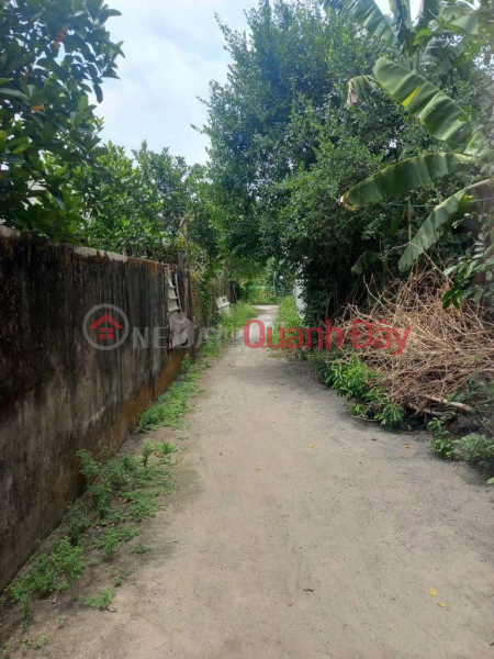 Land for sale by owner at the Welcome Gate of Nhon Tho 1 Village, Hoa Phuoc Commune, Hoa Vang District, Da Nang | Vietnam | Sales | đ 1.37 Billion