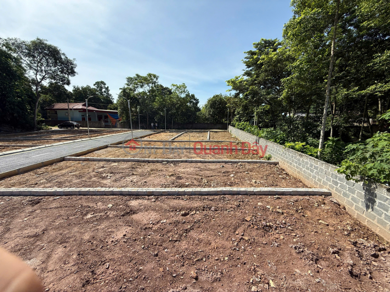 Urgent sale of residential land lot, Thach Binh, Thach Thanh, Thanh Hoa, price 12x million, 120 m2, Vietnam | Sales đ 125 Million