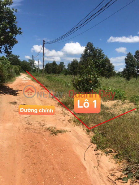 BEAUTIFUL LAND - GOOD PRICE - Owner For Sale 2 Lots Of Land In Cu Ni- Ea Kar-DakLak. Sales Listings