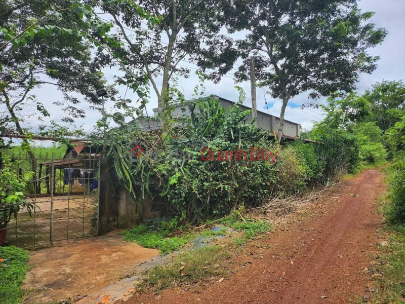 Property Search Vietnam | OneDay | Niêm yết bán | Bán 10x50m Lộc Ninh 100m2 TC sẵn - ngay KCN Lộc Tấn - Chỉ 250tr - quá hợp đầu tư