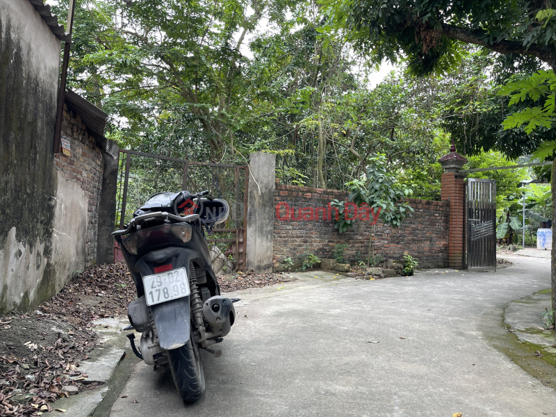 Homeowner needs to urgently sell plot of land in Trung Trung Thanh, Chuong My, Hanoi, 327 m, 300 m from National Highway 6. | Vietnam | Sales đ 750 Million