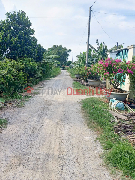 Owner Sells 534m2 of Land in Hoa Binh Commune, Cho Moi District, An Giang Province. Full Legal Documents Vietnam | Sales, đ 600 Million