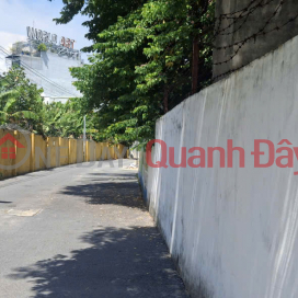 BEAUTIFUL 3-STOREY HOUSE, LAND AREA 114M2 - CORNER LOT WITH 3 OPEN SIDES - CENTER OF HAI CHAU - PRICE 8.3 BILLION _0