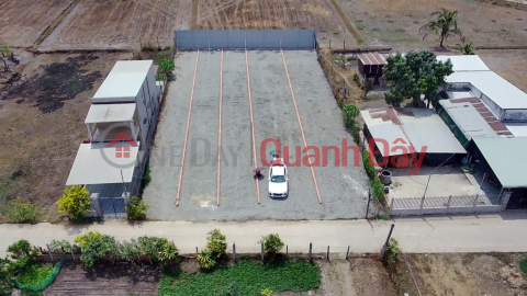 Owner Needs to Sell Front Land with Beautiful Location (separated into 05 lots) In Hoa Khanh Tay, Long An _0