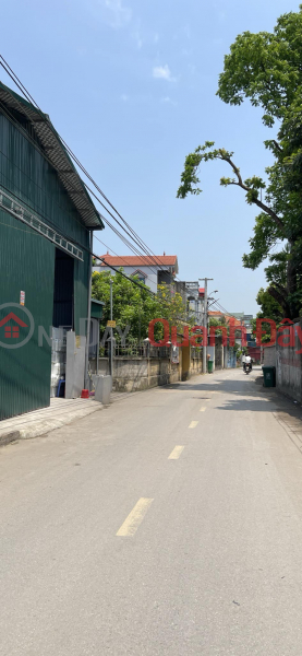 Open for sale 4 adjacent lots in Nghia Trai, Tan Quang, Van Lam, Hung Yen, Good price for investment. If you have any needs, please contact us., Vietnam | Sales đ 1.6 Billion