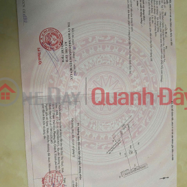 Owner Needs to Sell a Beautiful Land Plot on DT 832 Road, Hamlet 7, Nhut Chanh Commune, Ben Luc, Long An _0