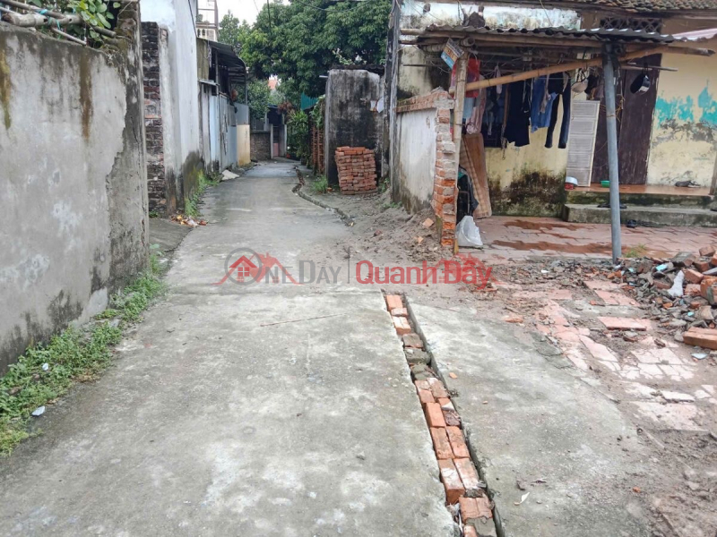 Property Search Vietnam | OneDay | Residential Sales Listings, OWNER SELLS SUPER BEAUTIFUL LAND LOT OF 41M2 IN PHU NGHI-CHUONG MY-HANOI