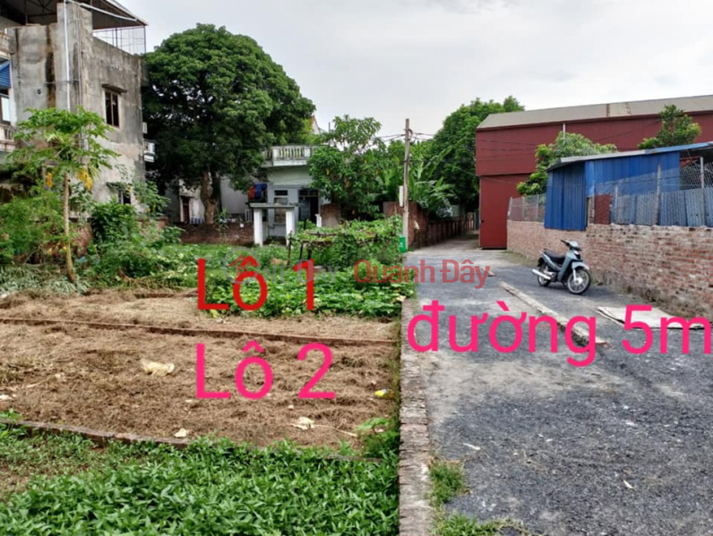 The owner needs to sell a 52m plot of land in Phuong Dong, Phung Chau, Chuong My, Hanoi, 5m road. Sales Listings