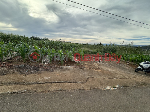 OWNERS QUICK SALE OF LAND LOT FRONT OF LARGE ASTHMA ROAD Beautiful Location In Lam Ha, Lam Dong _0