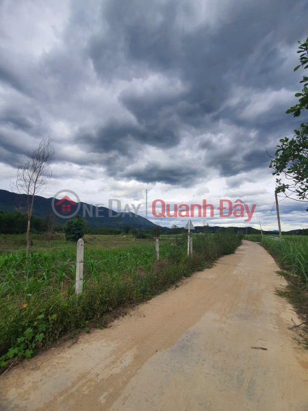 PRIME LAND – GOOD PRICE – OWNER SELLING Ta Goc Village, Khanh Thuong Commune, Khanh Vinh District Vietnam Sales đ 190 Million