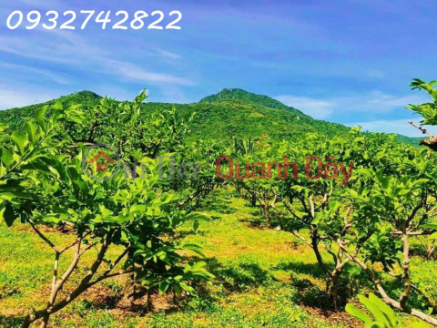 For sale 950m2 of land on front road Lap Dinh - Suoi Mon, Cam An Nam, Cam Lam, investment price _0