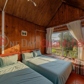 Cho thuê homestay 13 phòng 30 triệu/tháng Hùng Vương Phường 8 Đà Lạt _0
