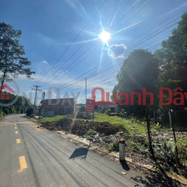 2 LÔ LIỀN KỀ MẶT TIỀN KINH DOANH NGAY CHỢ BÌNH LỢI – 290M2 CHỈ 1 TỶ 550 TL _0